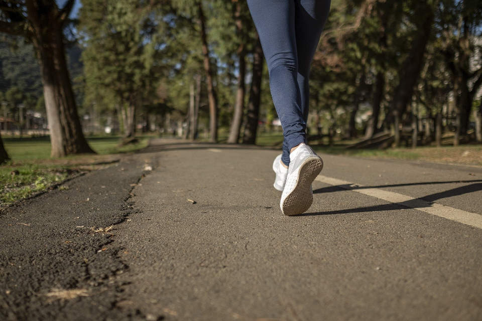 Vöhler Abendlauf
